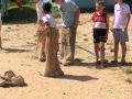 IMG-20190624-WA0016