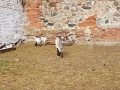 20170525_171132
