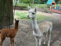 IMG-20230824-WA0104