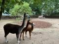 IMG-20230824-WA0105