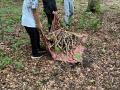 IMG-20230824-WA0146