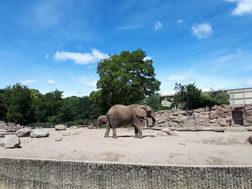 tierpark3